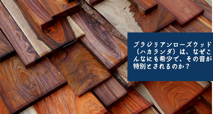 ブラジリアンローズウッド(ハカランダ)は、なぜこんなにも希少で、その音が特別とされるのか?